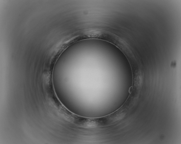X0000112890604200908281703