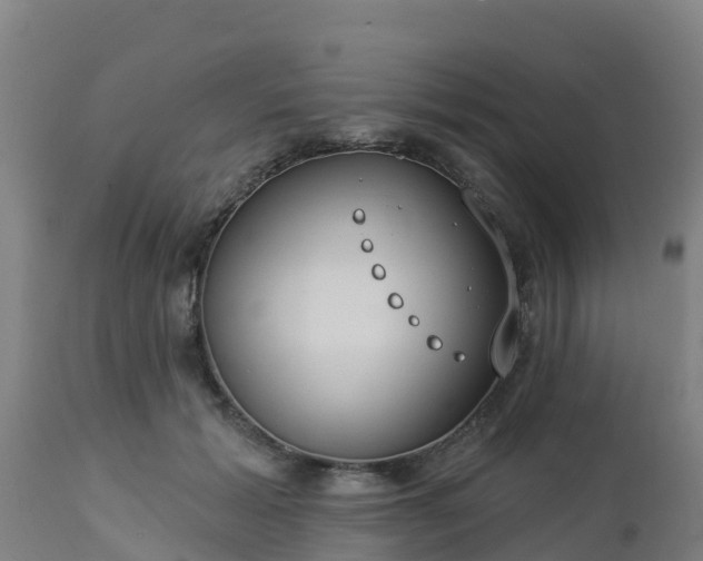 X0000112890605200908281703