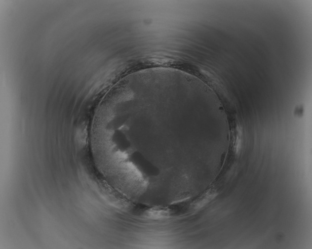X0000112890606200908281702