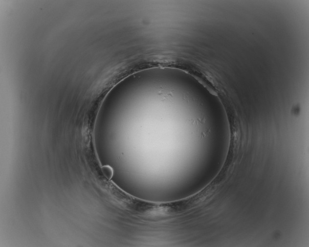 X0000112890609200908281702
