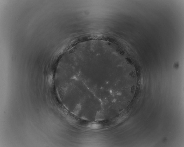 X0000112890610200908281702