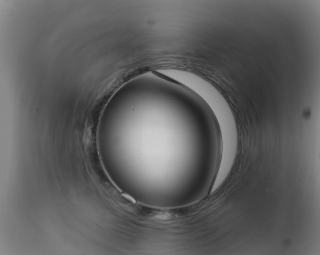 X0000112890611200908281702