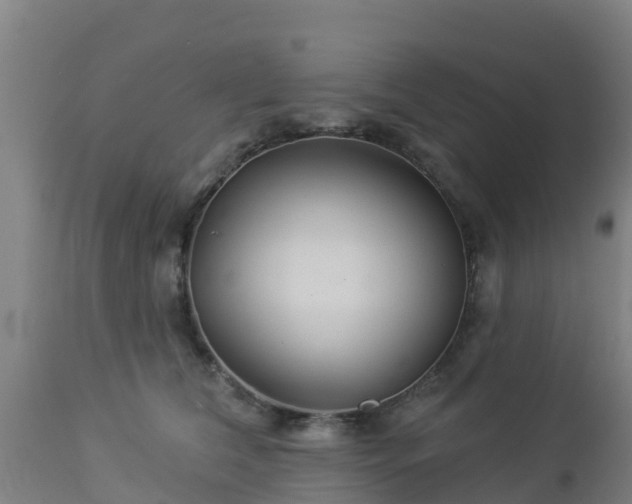 X0000112890612200908281702