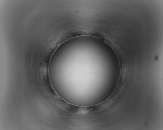 X0000112890613200908281702