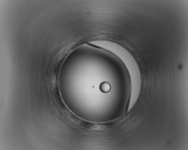 X0000112890617200908281702