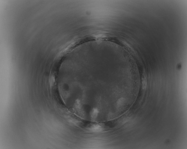 X0000112890618200908281702