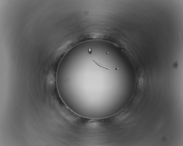 X0000112890620200908281702