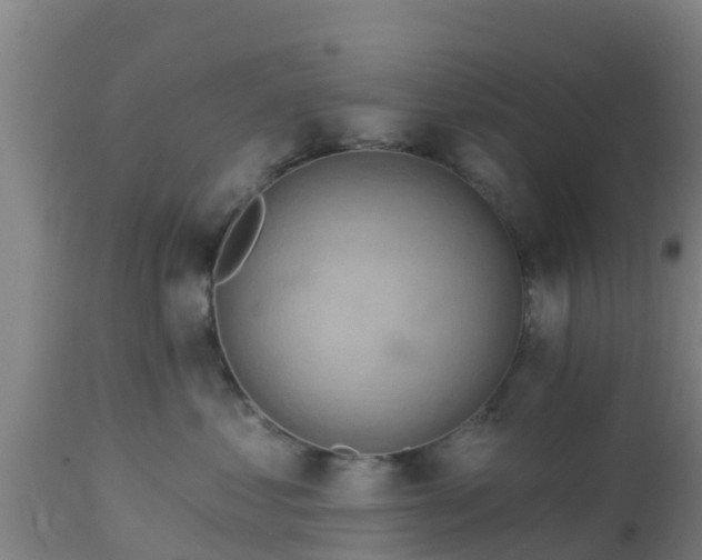 X0000112890621200908281702