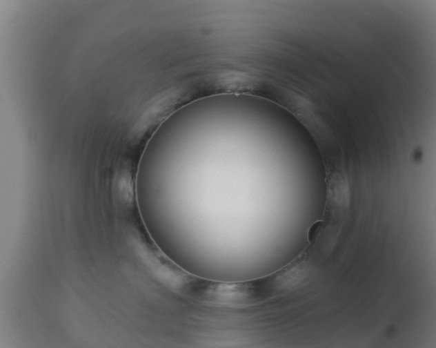 X0000112890622200908281702