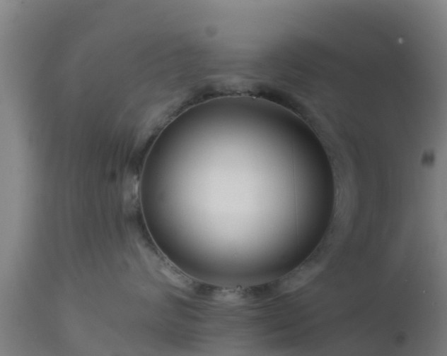 X0000112890624200908281702