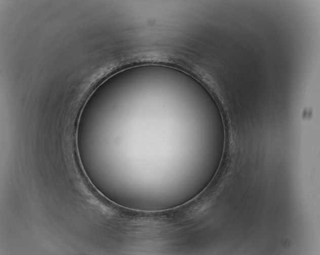 X0000112890625200908281701