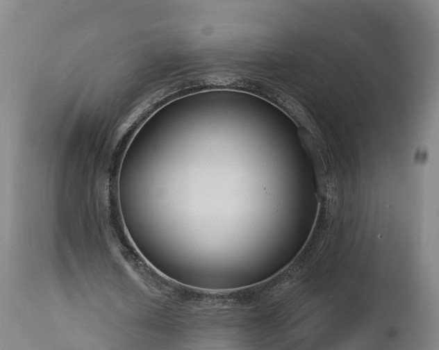 X0000112890626200908281701