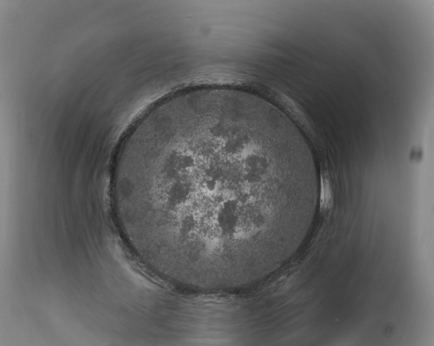 X0000112890627200908281701