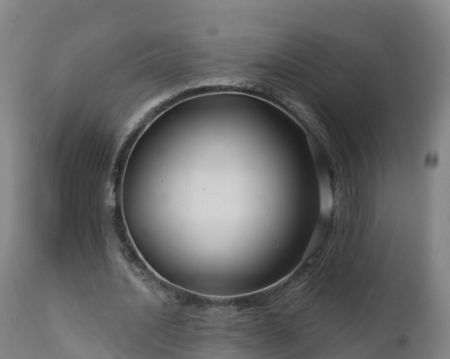 X0000112890628200908281701