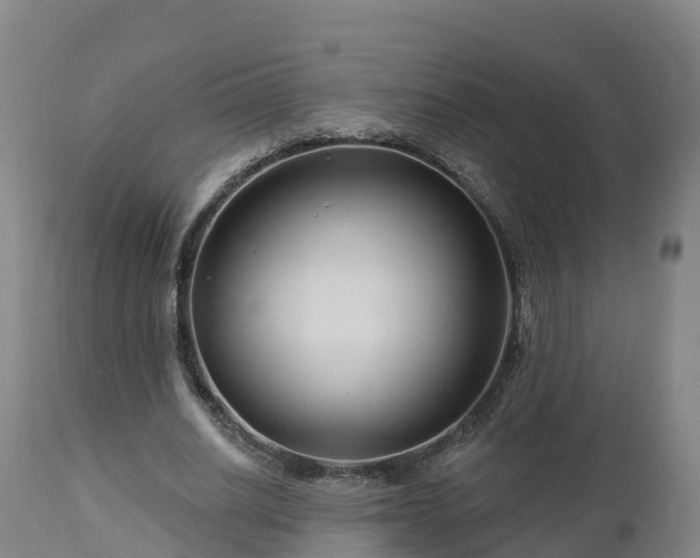 X0000112890630200908281701