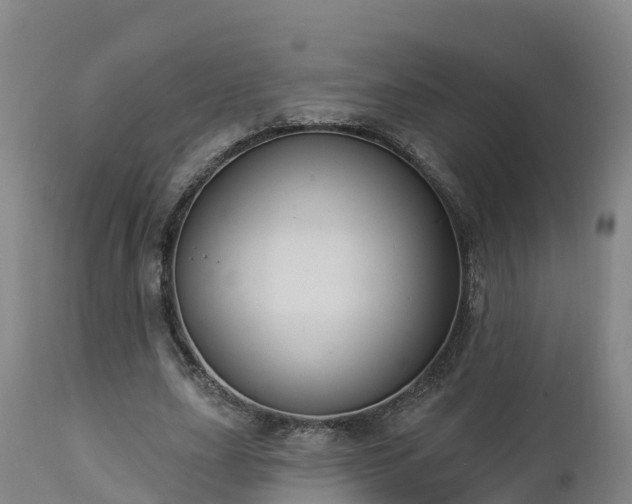 X0000112890631200908281701