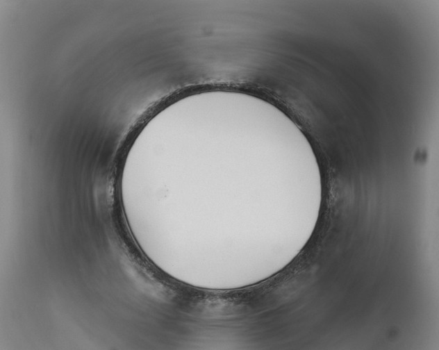 X0000112890632200908281701