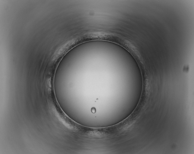 X0000112890633200908281701