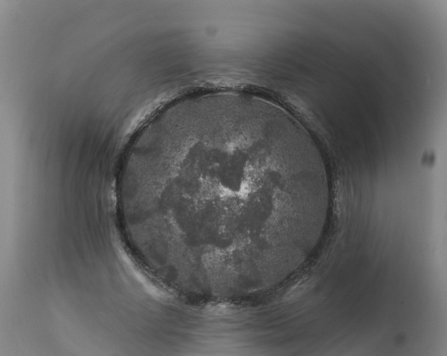 X0000112890634200908281701
