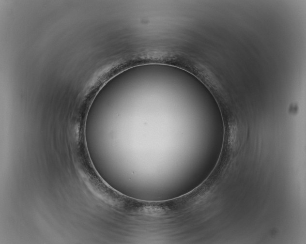 X0000112890636200908281702
