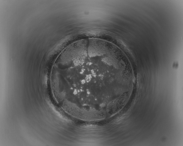 X0000112890637200908281702