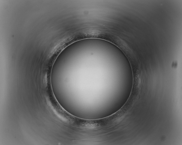 X0000112890638200908281702