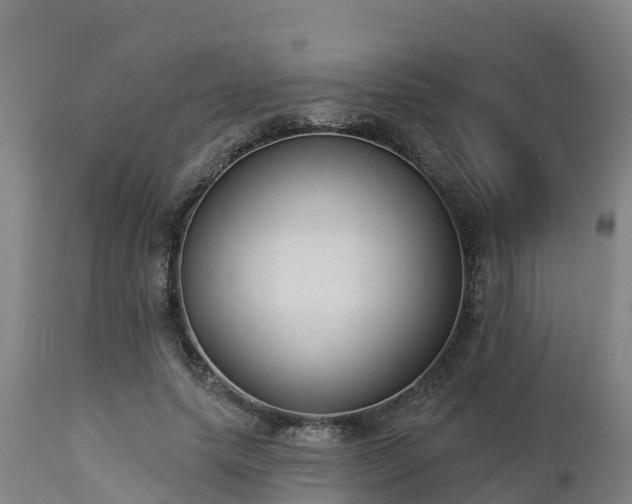 X0000112890639200908281702