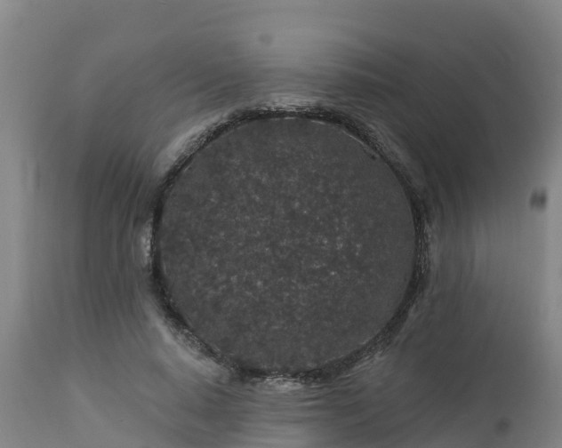 X0000112890640200908281702