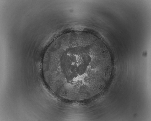 X0000112890641200908281702
