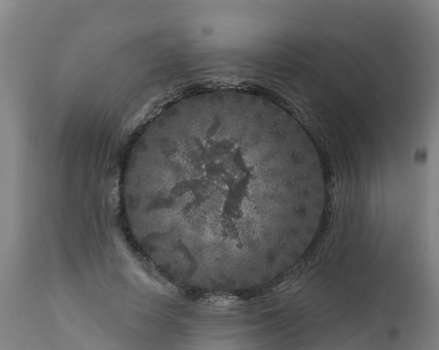 X0000112890642200908281702