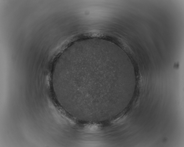 X0000112890643200908281702