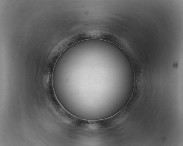 X0000112890645200908281702