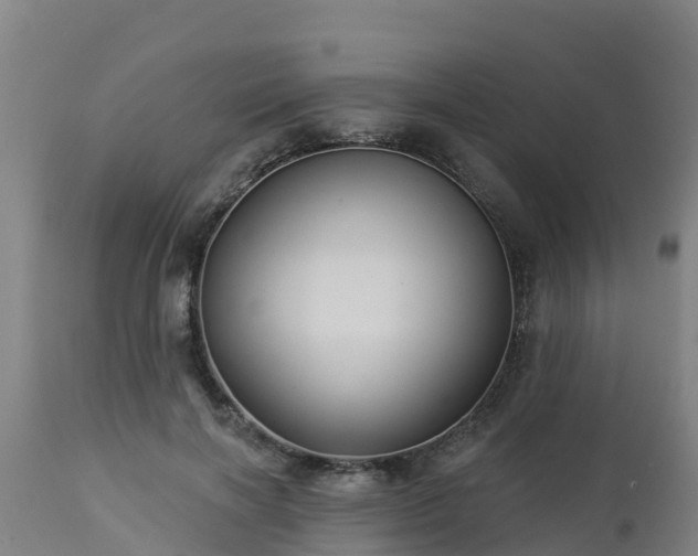 X0000112890646200908281702