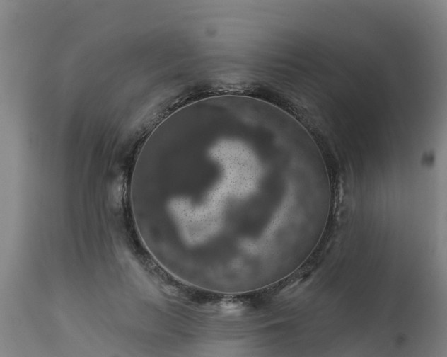 X0000112890647200908281702