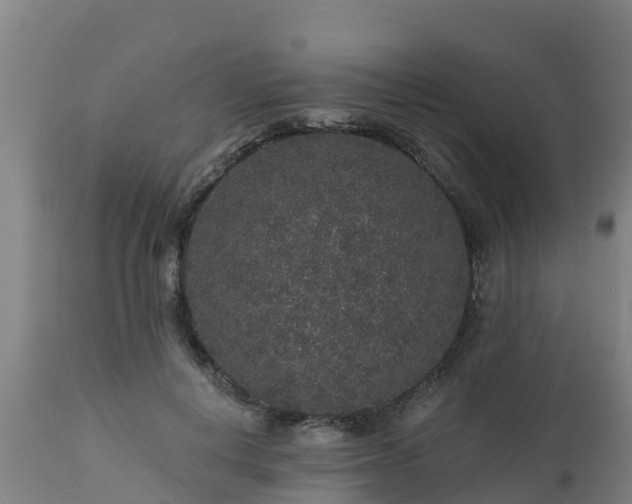 X0000112890648200908281702