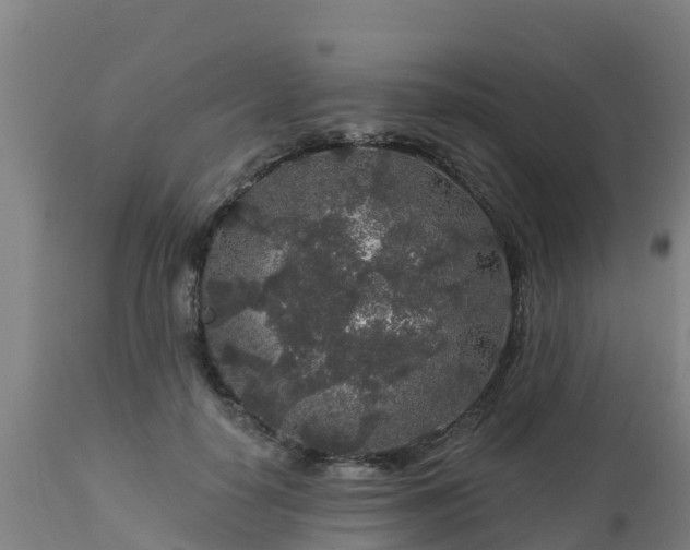 X0000112890650200908281702