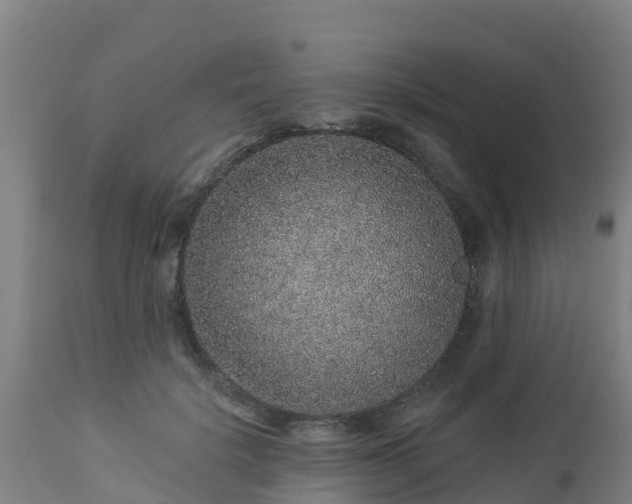 X0000112890652200908281702