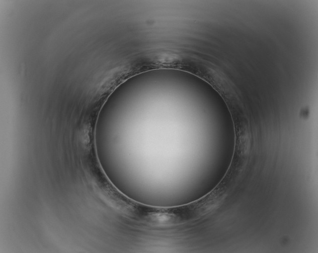 X0000112890654200908281702