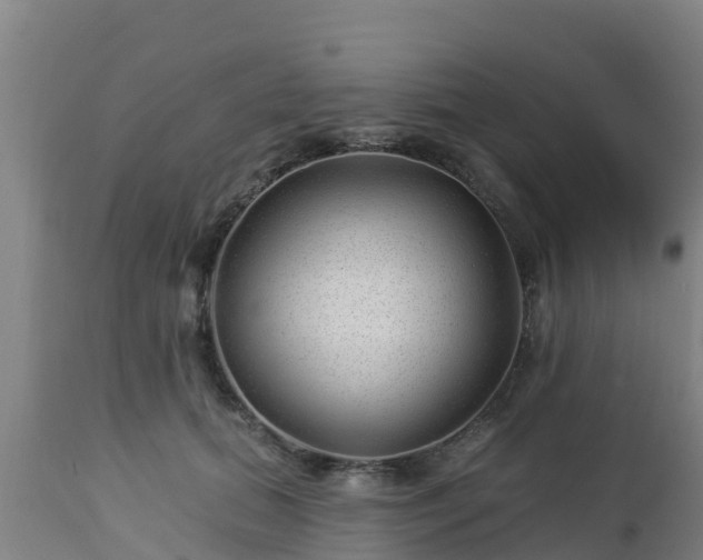 X0000112890655200908281702