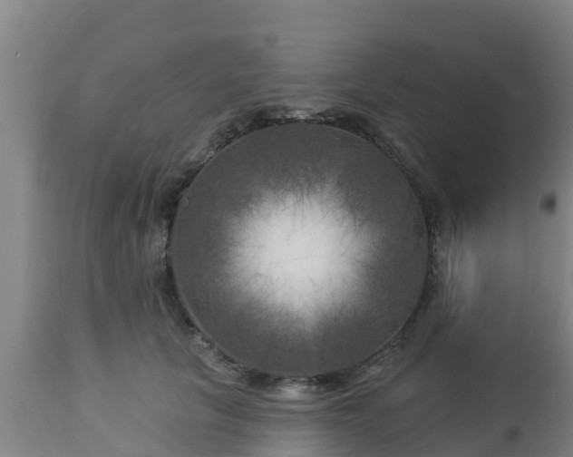 X0000112890657200908281702