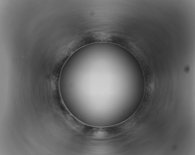 X0000112890658200908281702