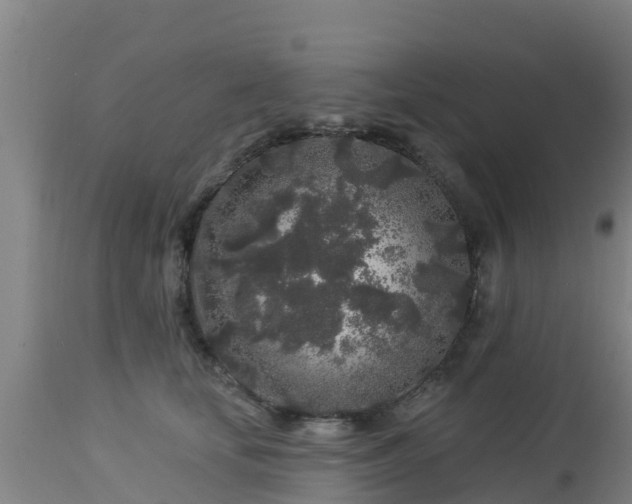 X0000112890659200908281702