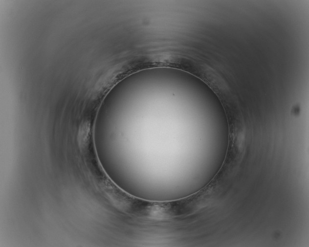 X0000112890660200908281702