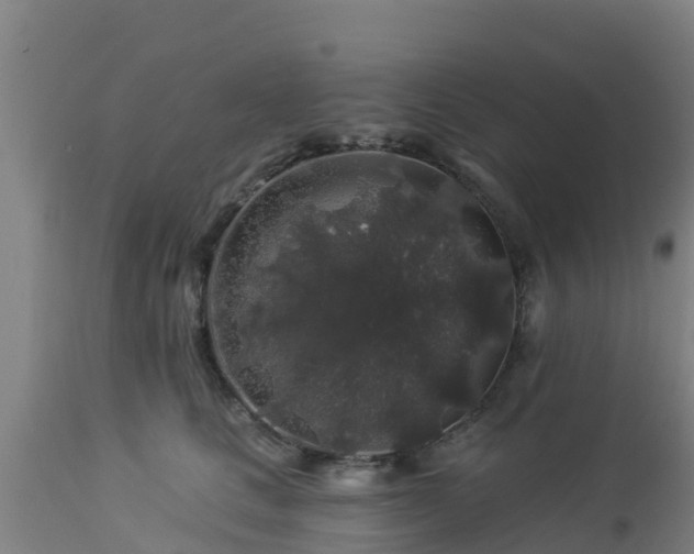 X0000112890661200908281702