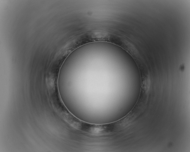 X0000112890662200908281702