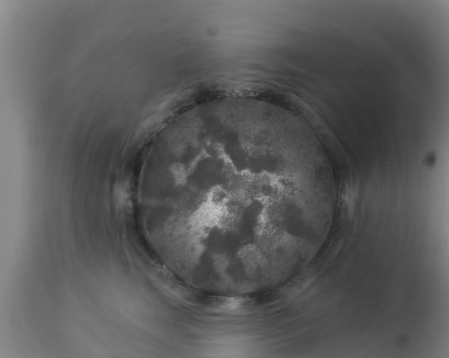 X0000112890663200908281702