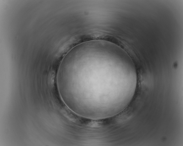 X0000112890664200908281702
