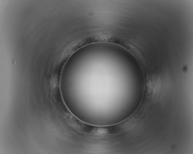 X0000112890665200908281702
