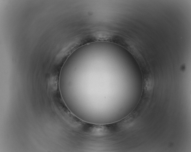 X0000112890666200908281702