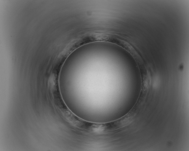 X0000112890667200908281702